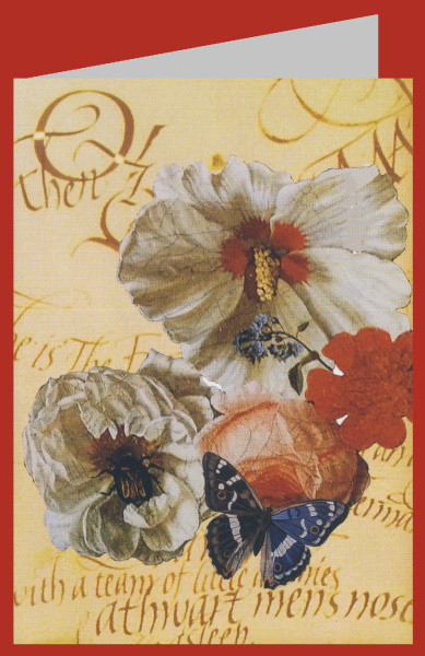 Marion Decker. Blumen mit Schmetterling