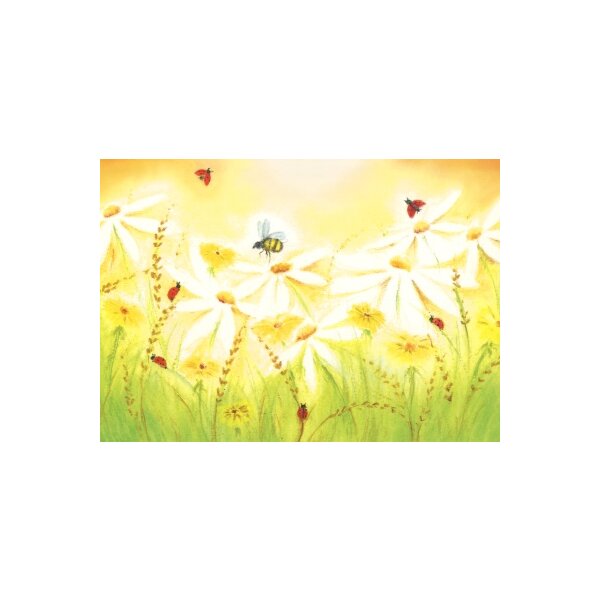 Sommer