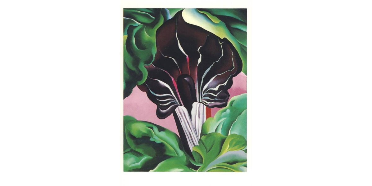 O´Keeffe, Georgia