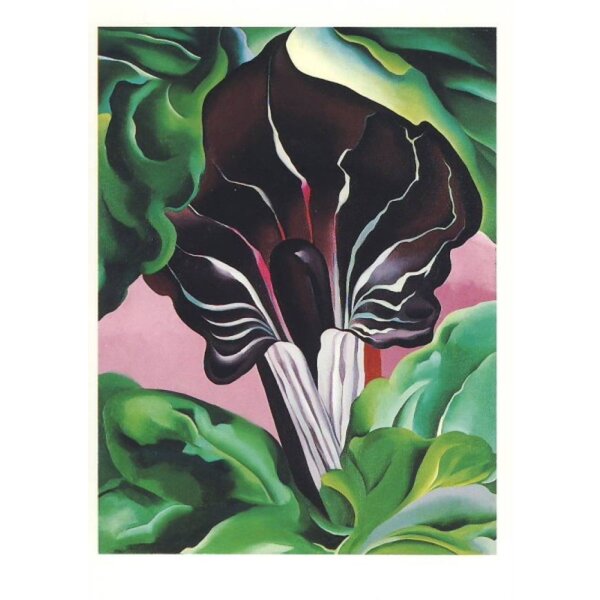 O´Keeffe, Georgia