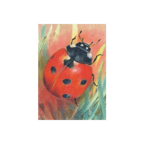 Krabbeltiere