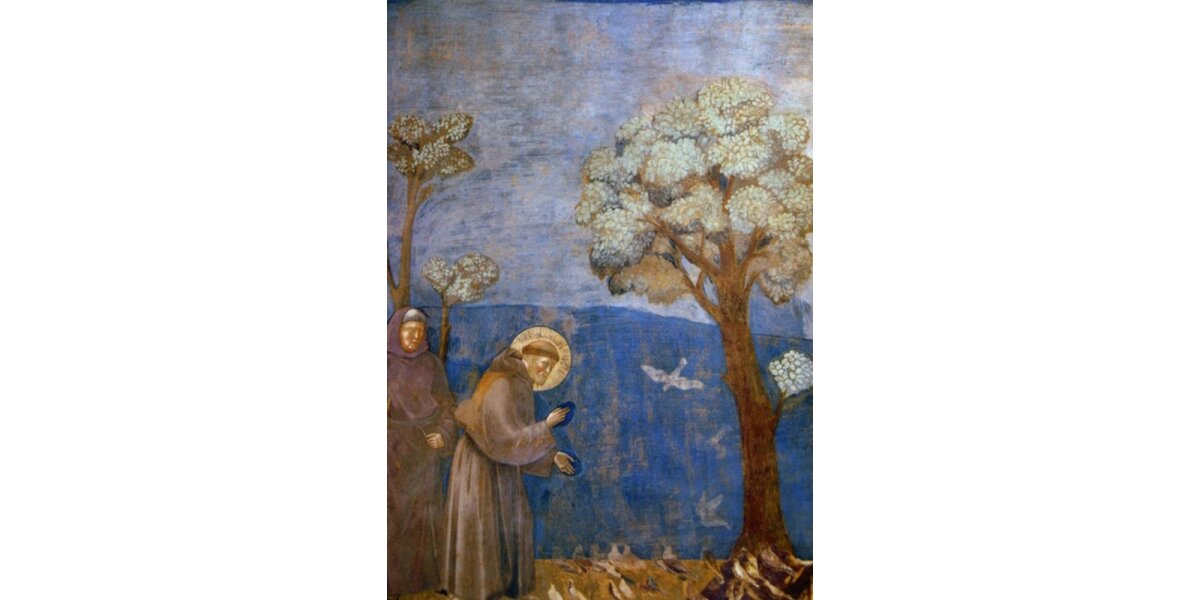Bondone, Giotto