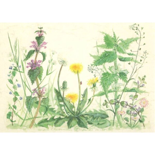 Kunstdruck 12x16cm