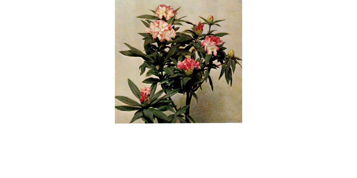 Fantin-Latour, Henri