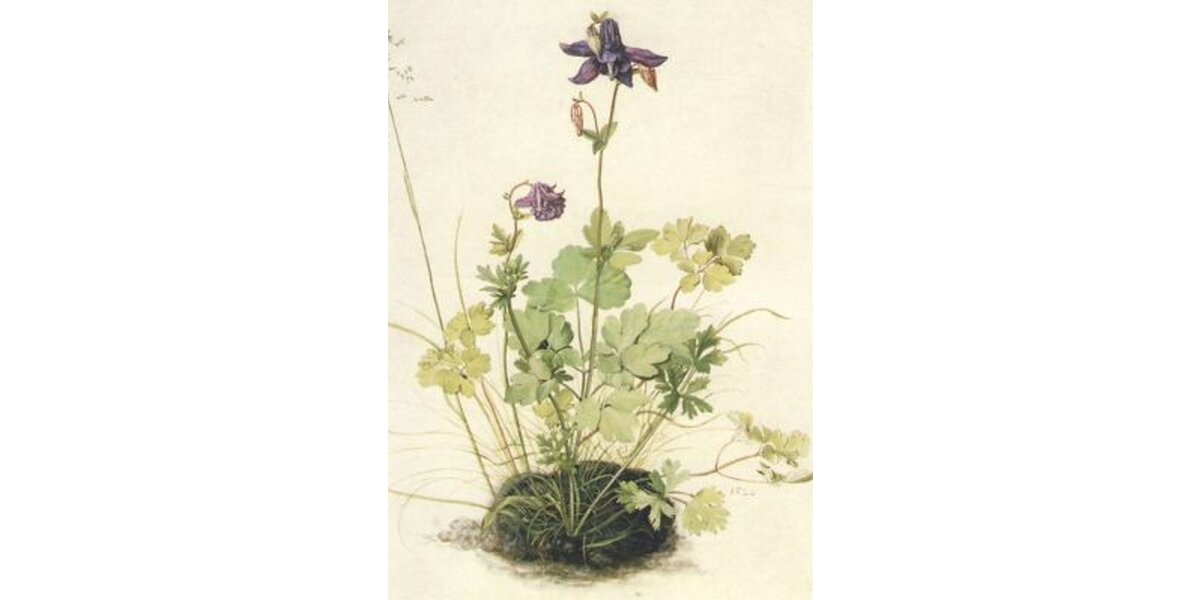 Dürer, Albrecht