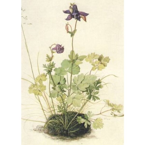 Dürer, Albrecht