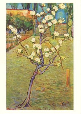 Gogh, V. Blütenbäumchen. KK