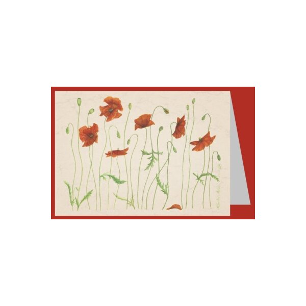 Anna Malten (Lübsee). Allerlei Mohn, 2007