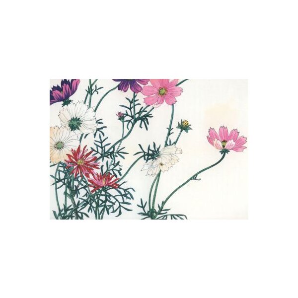 Konan Tanigami, Schmuckkörbchen (Cosmos bipinnatus) 1917