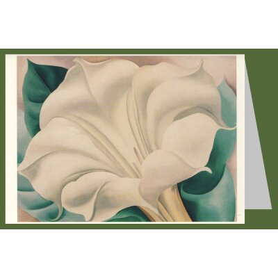 Georgia O`Keeffe. Weiße Trompetenblume, 1932