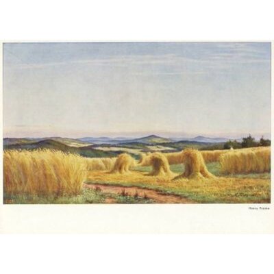 Franke, Hanny. Reife Garben