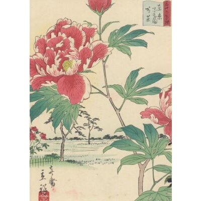 Utagawa Hiroshige II, Pfingstrosen, 1866