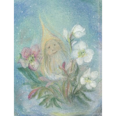 Sabine Reinink. Zwerg mit Christrose
