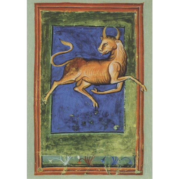 Liber Astrologiae, 14. Jh. Stier