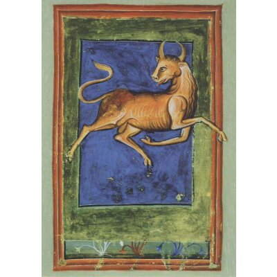 Liber Astrologiae, 14. Jh. Stier