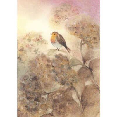 Baukje Exler. Robin auf Hortensie
