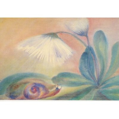 Ursula Reich. Das Gänseblümchen und die Schnecke