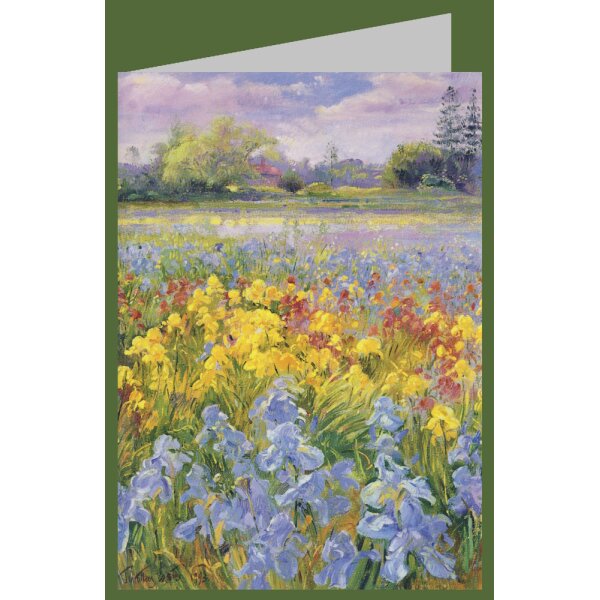 Timothy Easton. Schwertlilien, Weiden und Tannen, 1993