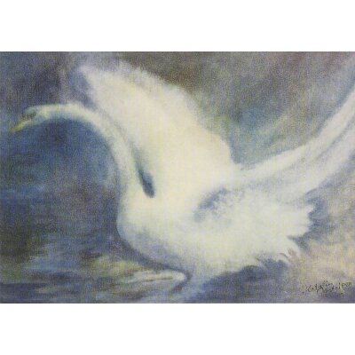 Katharina Gasteiger. Schwan