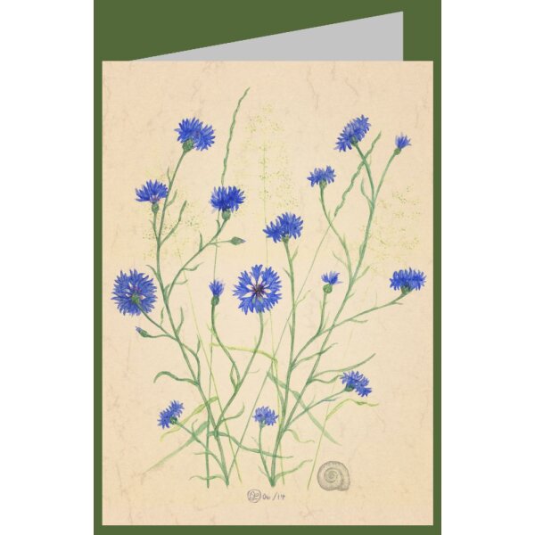 Anna Malten. Kornblumen, 2014