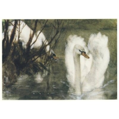 Adolph von Menzel. Zwei Schwäne, nach 1868