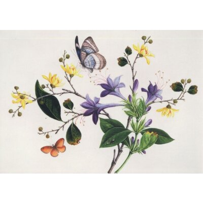 Chinesisch, 19. Jahrhundert, Blumenstudie und Insekten