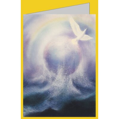 Jan de Kok. Regenbogen
