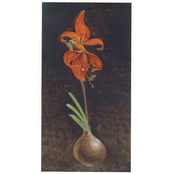 Philip-Otto Runge. Amaryllis Formosissima, 1808