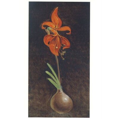 Philip-Otto Runge. Amaryllis Formosissima, 1808