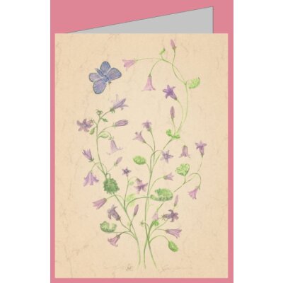 Anna Lübsee. Glockenblume mit Bläuling