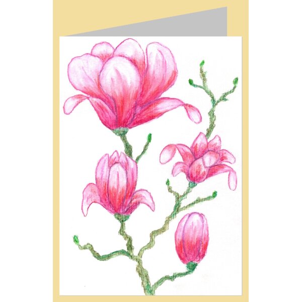Franziska Seehausen. Magnolienblüten
