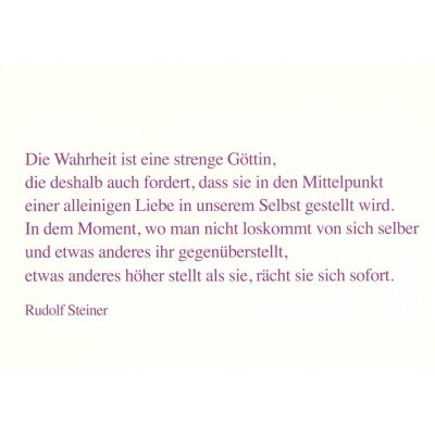 Rudolf Steiner, in "Metamorphosen/Pfade".