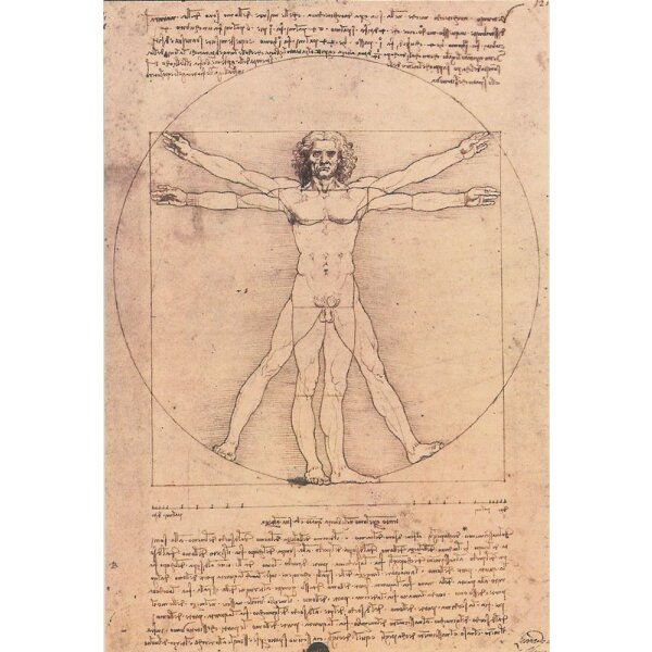 Leonardo da Vinci. Studio del corpo umano