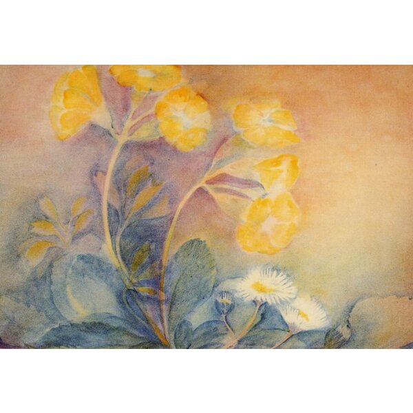 Ursula Reich. Das Gänseblümchen und die Schlüsselblume