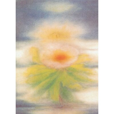 Elisabetta Navizzardi. Christrose