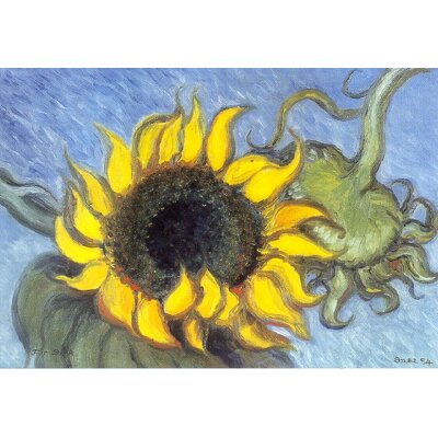 Heide Dahl. Sonnenblume