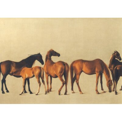 George Stubbs. Stuten und Fohlen, 1762