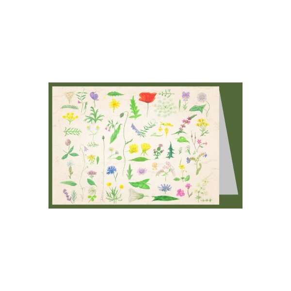 Anna Lübsee. Juliblüten, 2008