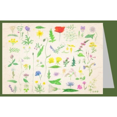Anna Lübsee. Juliblüten, 2008