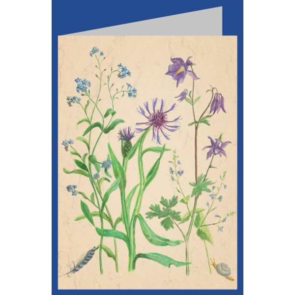 Anna Malten. Vergissmeinnicht, Flockenblume usw,2007.  MC