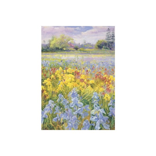 Timothy Easton. Schwertlilien, Weiden und Tannen, 1993