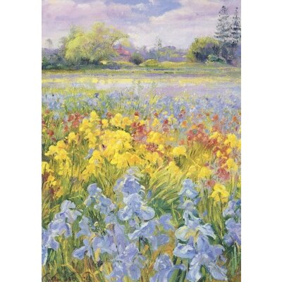 Timothy Easton. Schwertlilien, Weiden und Tannen, 1993