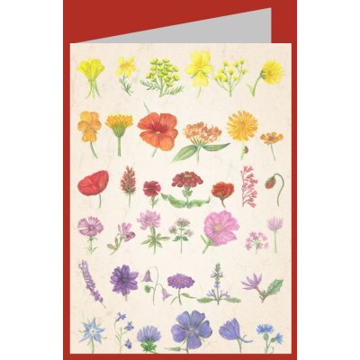 Anna Malten. Sommerregenbogen, 2008