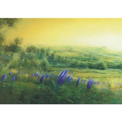 Ger Stallenberg. Born again, 2009