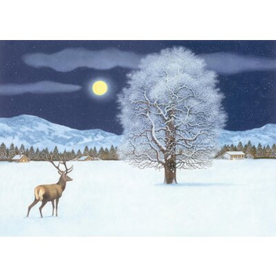 Thomas Müller. Zauberhafte Winternacht. Adventskalender