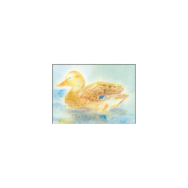 Grills, C. Meine Tiere 1, Ente. KK.