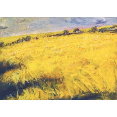 Frank Toussaint. Kornfeld, Juli 2016