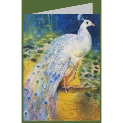 Loes Botman. Weißer Pfau