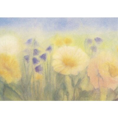 Elisabetta Mavizzardi. Wiesenblumen