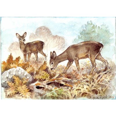 Ingvar Björk. Rehe